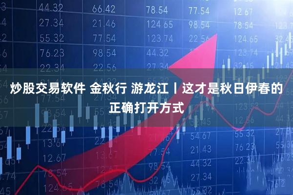 炒股交易软件 金秋行 游龙江丨这才是秋日伊春的正确打开方式